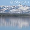 Absaroka Range In Yellowstone Lake