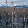 Fire Damage and Mountains