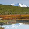 Gallatin Range Reflections