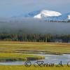 Gibbon River and Fog