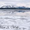 Reflection in Yellowstone Lake