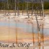 Reflections In Opalescent Pool