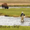 Sharing The Firestone River