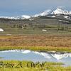 Swan Lake Flats