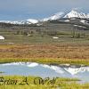 Swan Lake Flats