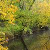 Dobbins Creek