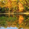 Nebish Lake