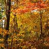 Northern Highlands State Forest