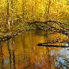 Allequash Creek
