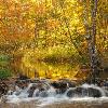 Allequash Creek