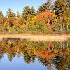 Allequash Lake