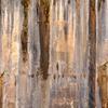 Abstract Colors at Pictured Rocks National Lakeshore
