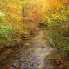 Mecan River - Wisconsin