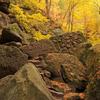 Parfrey's Glen in the Fall
