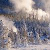 Norris Geyser Basin