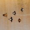 Ring-neck Ducks