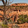 View From Otto's Trail