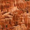Hoodooos - Inspiration Point