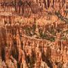Bryce Point #5