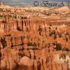 Fairyland Canyon