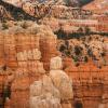 Hoodoos in Fairyland Canyon