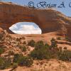 Wilson's Arch - Utah