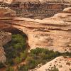 Kachina Bridge - Natural Bridges National Monument, UT