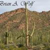 Saguaro National Park 9