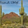 Tonto National Forest 2
