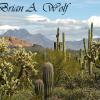 Tonto National Forest 4