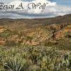 Tonto National Forest 6