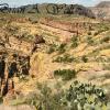 Tonto National Forest 7
