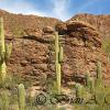 Tuscon Mountain Park 2