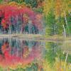 Autumn Reflections on Council Lake