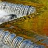 Reflections at the Z - Bond Falls