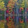 Reflections on Council Lake