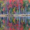 Council Lake Reflections