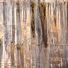 Pictured Rocks Abstract II