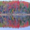 Council Lake