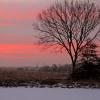 Sunrise Over Pond On Homestead Farm