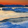Early Mornig Ice Flows