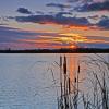 Sun Setting On Horicon Marsh