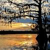 Golden Glow on Lake Martin